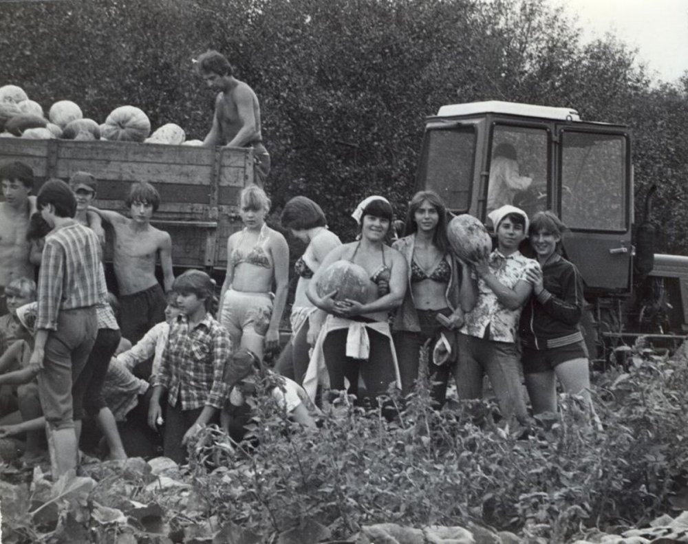 scale_1200 (71).jpeg