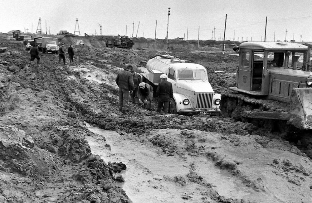 scale_1200 (100).jpeg