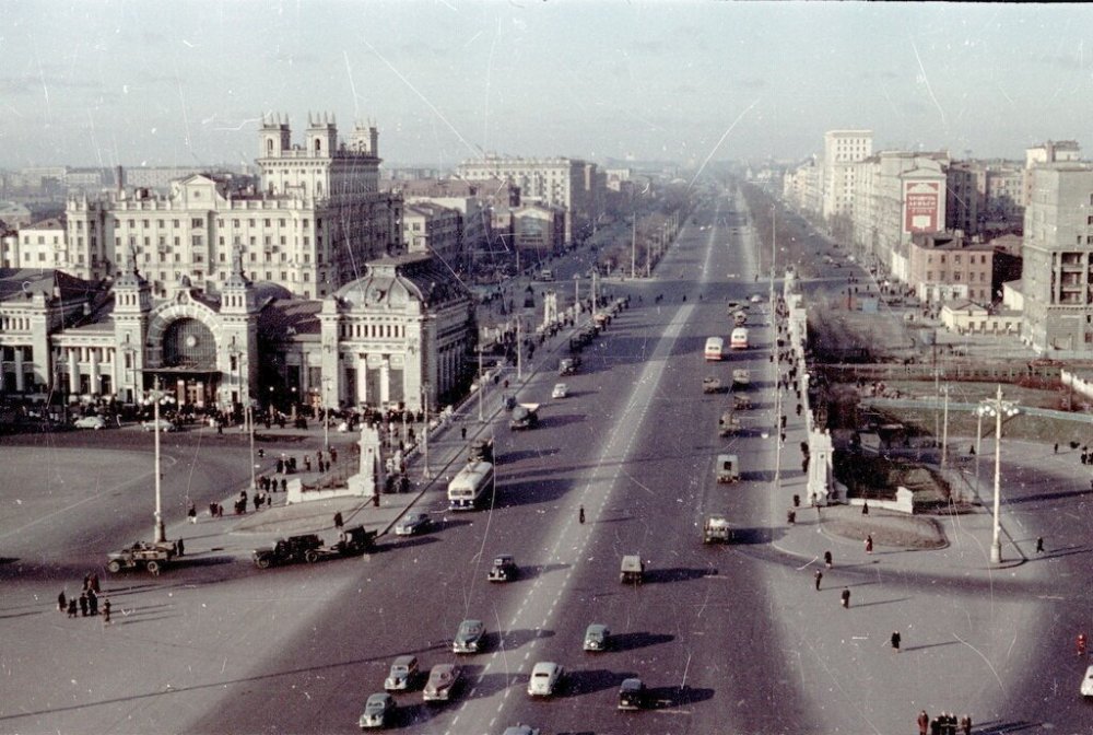 scale_2400 (10).jpeg