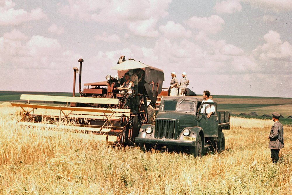 scale_1200 (96).jpeg