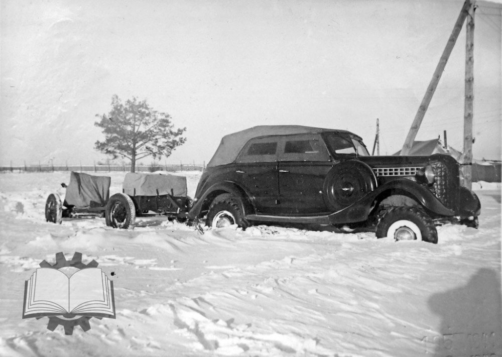 scale_1200 (98).jpeg