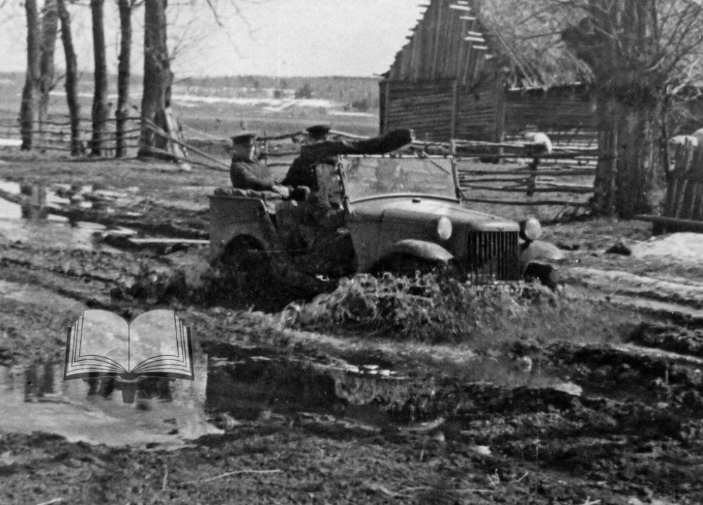 scale_1200 - 2024-01-08T225436.627.jpeg