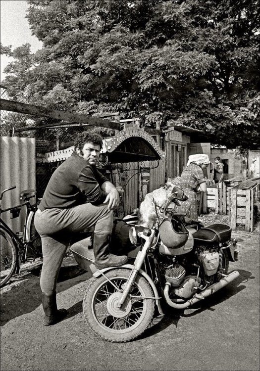 scale_1200 - 2024-01-07T101640.722.jpeg