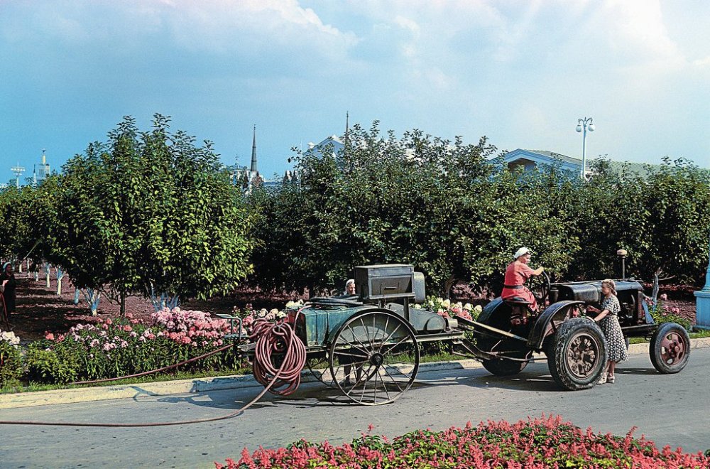 scale_1200 - 2024-01-08T000608.859.jpeg