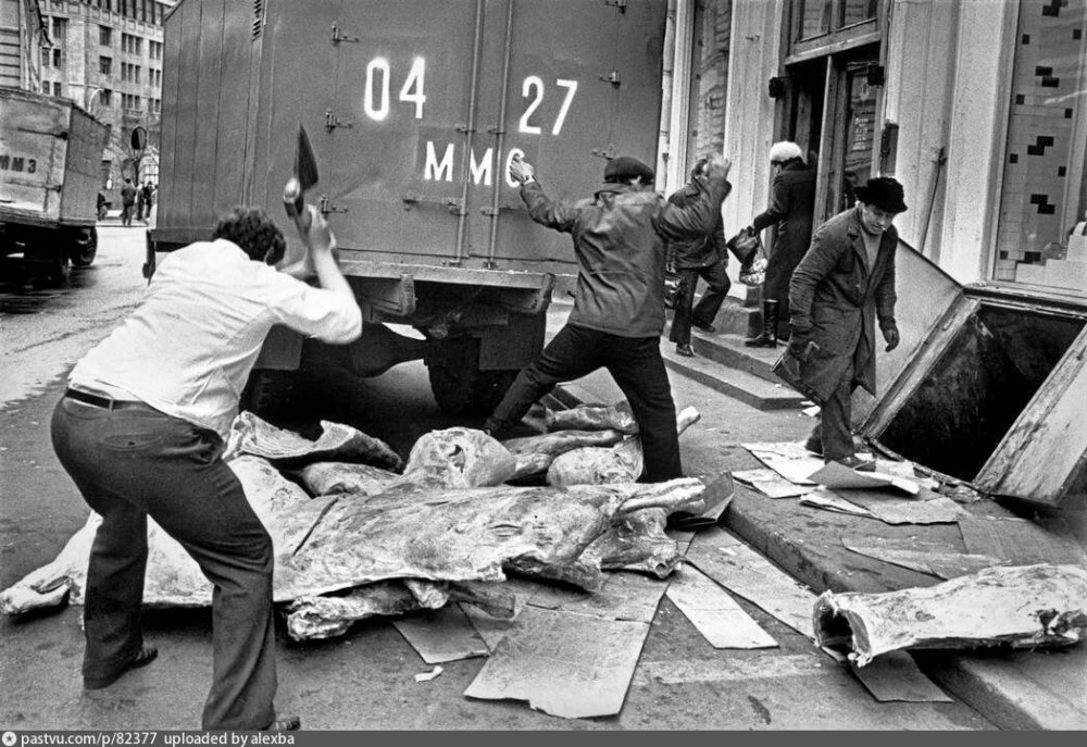 scale_1200 (87).jpeg