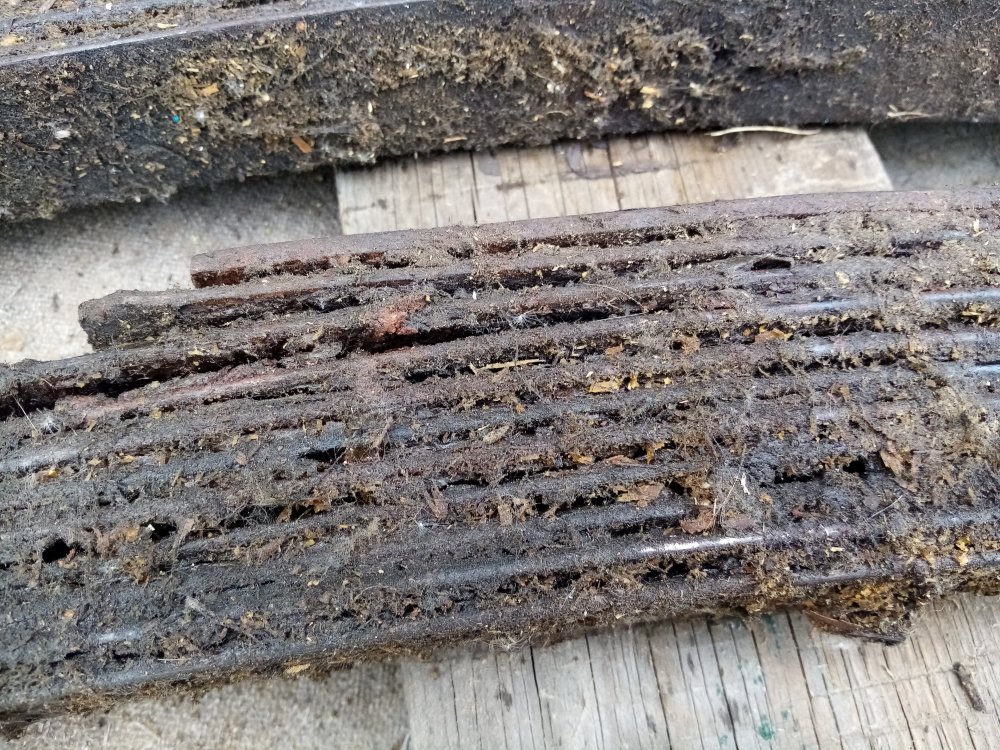 IMG_20230709_150000 (2).jpg