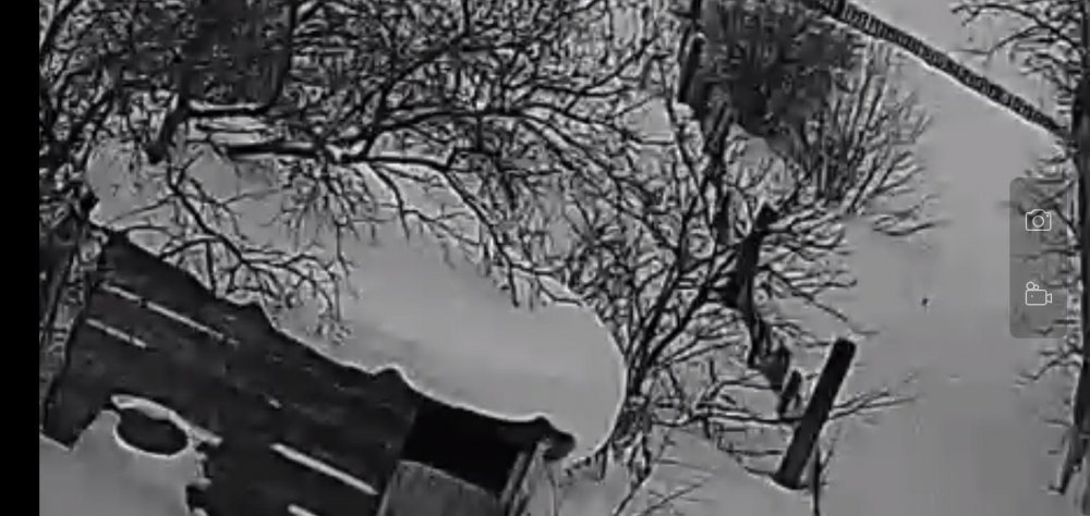 снег в огороде1707837281056.jpg