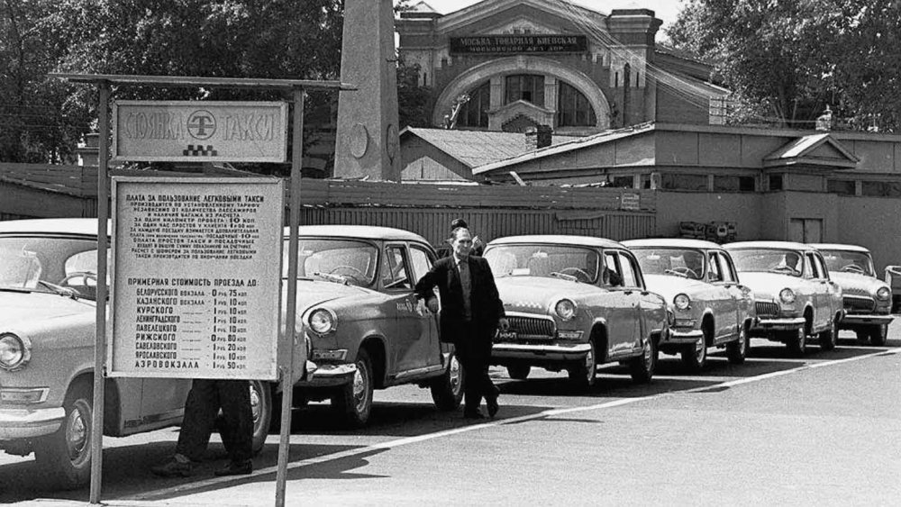 scale_2400 (15).jpeg