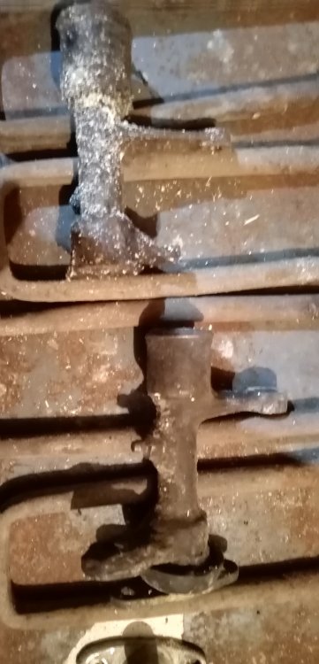 IMG_20240302_150614 (2).jpg