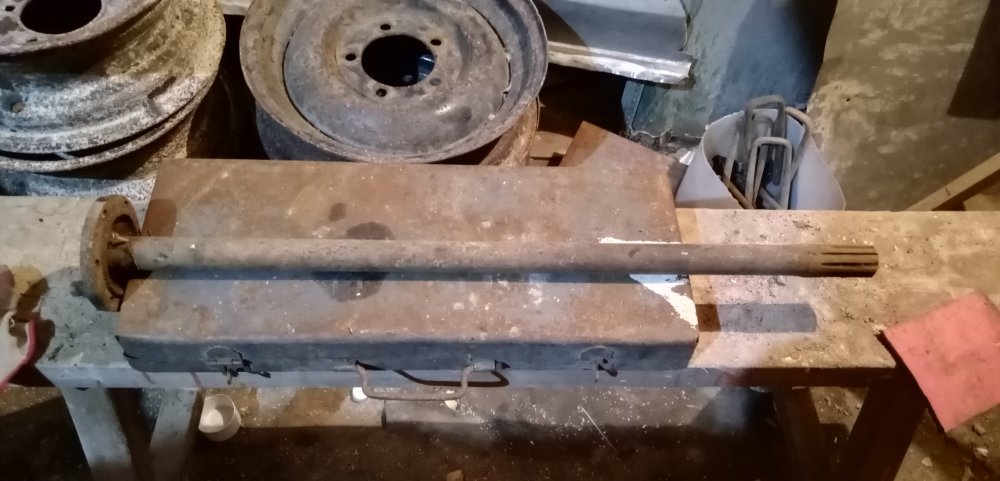 IMG_20240306_164501 (2).jpg