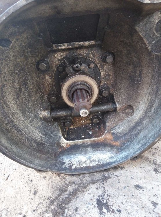 IMG-fe55778974cb5a22135fd9bb8c45c3ac-V (1).jpg