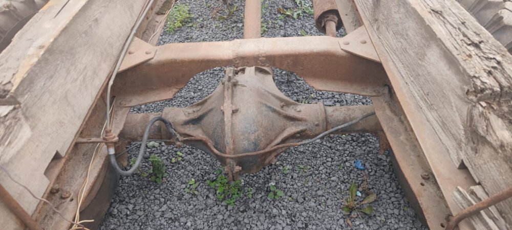 WhatsApp Image 2024-10-02 at 17.55.34 (1).jpeg