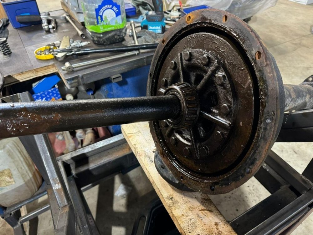 post-17200-0-71254300-1742550578 (1).jpeg