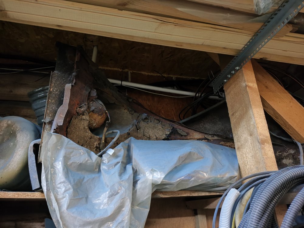 2025-03-09 17-13-15.JPG