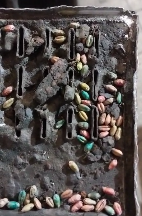 Screenshot_754 (1).png