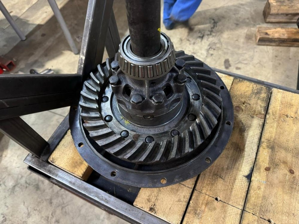 post-17200-0-16406800-1742550842 (1).jpg