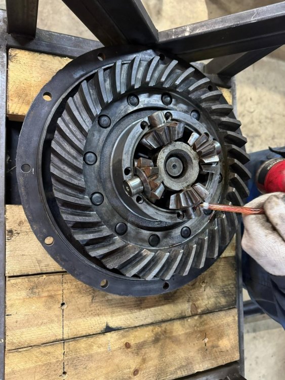 post-17200-0-93587100-1742550847 (2).jpg