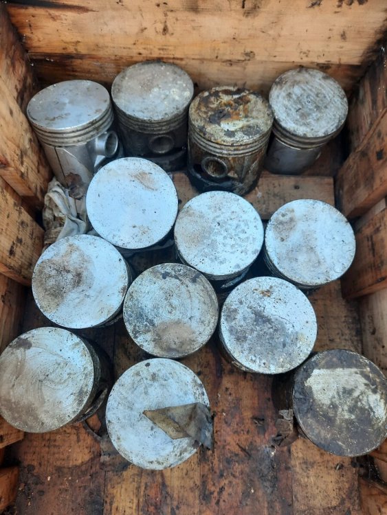 post-17200-0-19269000-1743002443 (1).jpeg