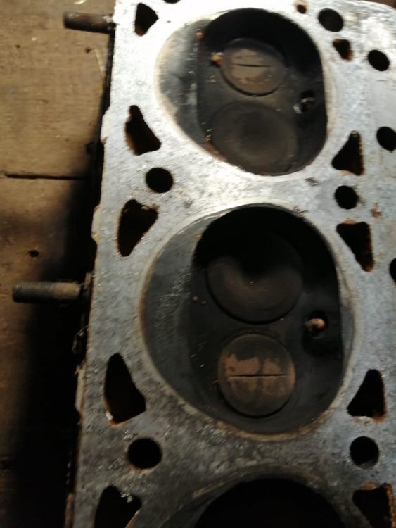 PHOTO-2025-04-08-15-04-05 (1).jpg