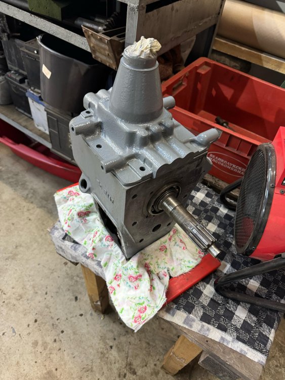 WhatsApp Image 2025-04-10 at 19.43.37.jpeg