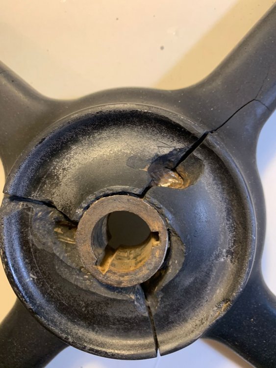 WhatsApp Image 2025-04-10 at 18.37.50.jpeg