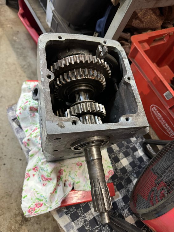 WhatsApp Image 2025-04-10 at 19.43.38.jpeg