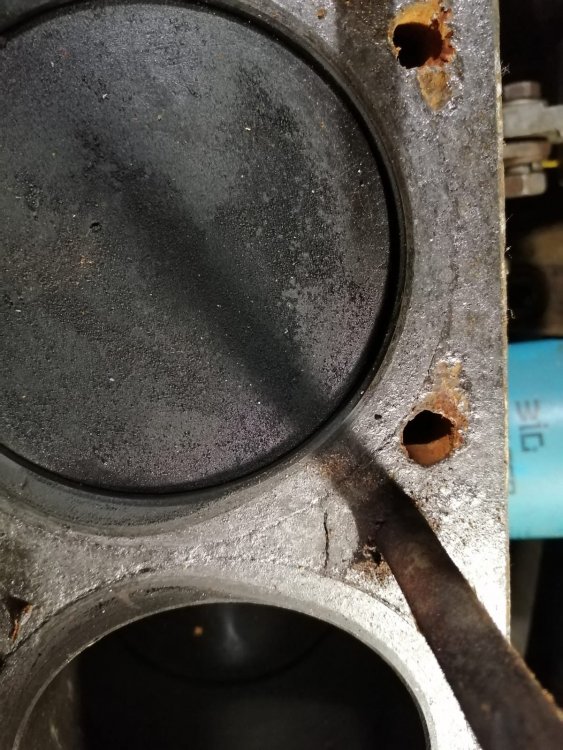 PHOTO-2025-04-08-14-53-33 (1).jpg