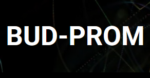 budprom.png.8ebd77bbe5013f9169376fe2d034915b.png