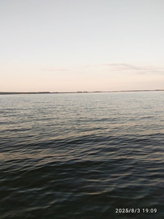 ДОН Волга3.jpg