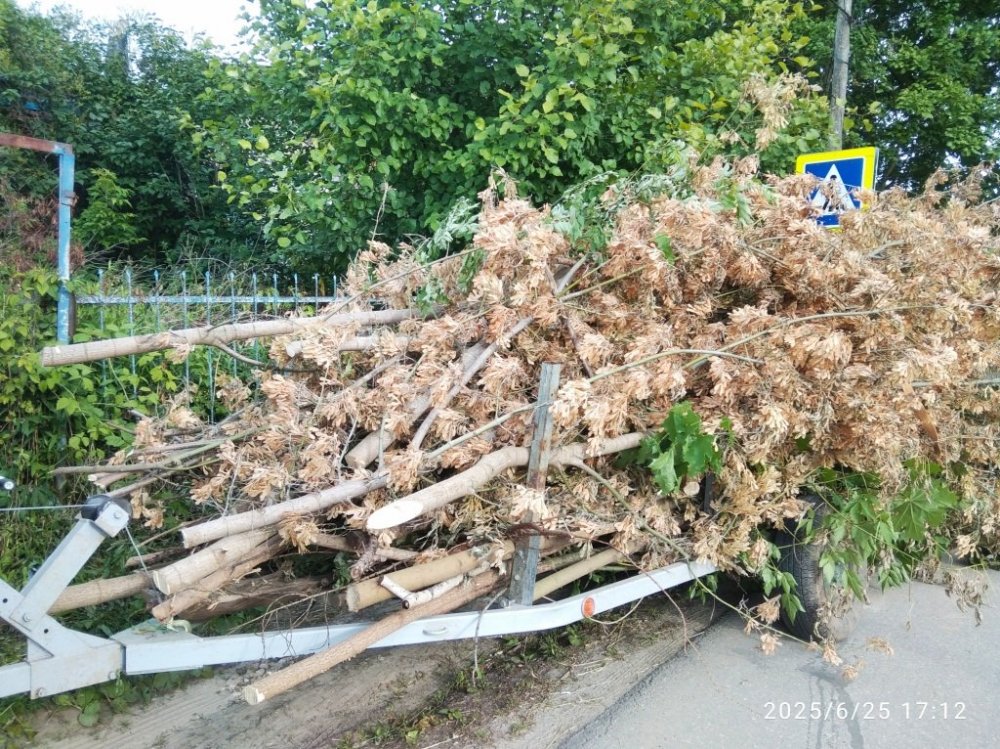 Прицеп кусты.jpg