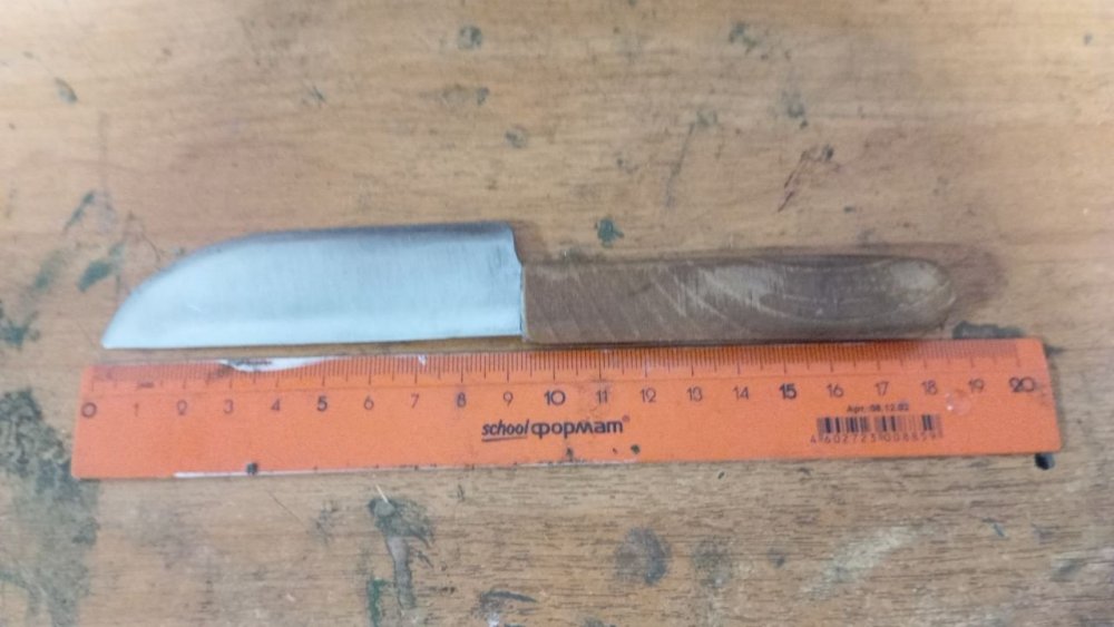 пчак рапид.jpg