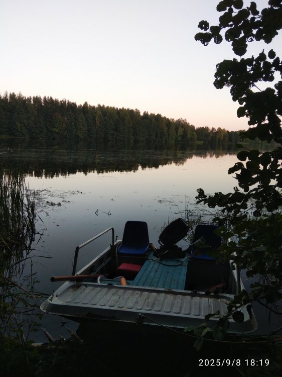 Волга протока штиль.jpg