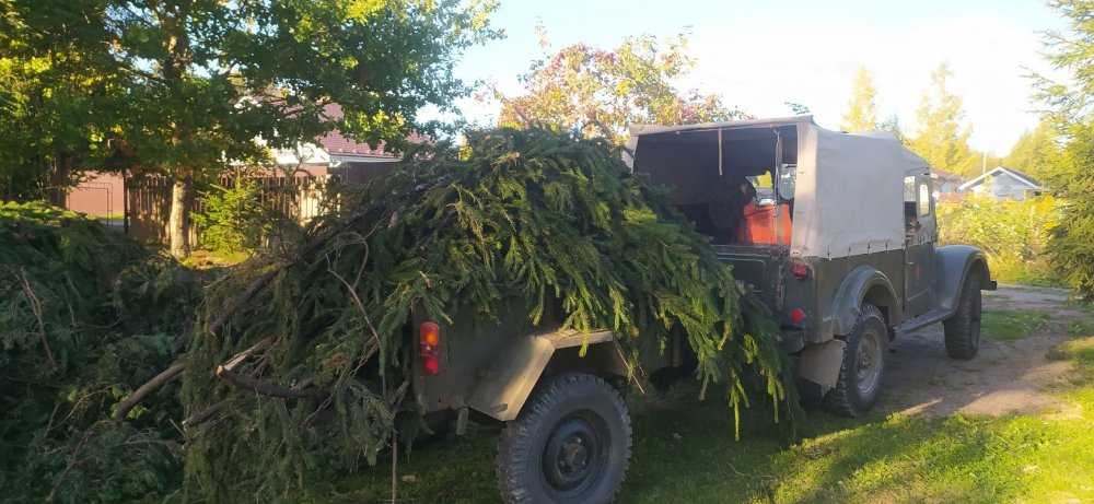 gaz_69_vetki.jpg