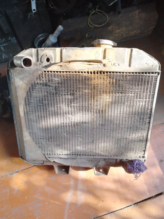 DINJ5474.JPG