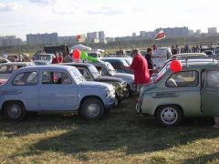 А это немеренное стадо "Зюзиков"