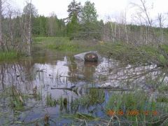 Конкуренты