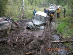 жалко крылья, а что делать?