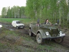 "дама с собачкой"