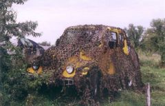 Спрятали от уток