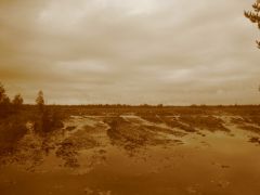 "Рдейский монастырь 2" 2009