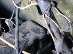 кузов 69 на тележке 469