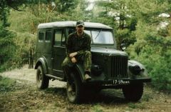 Сосновый лес