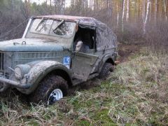 обычное болото