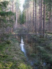 Здесь нам предстояло проехать