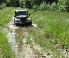 Во владимирских лесах
