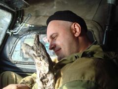 кока добрый