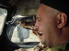 кока и алекс - они радуются, они друзья.