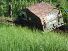 муромское болото