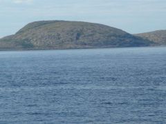 море, море, море белое