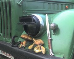 Не весь улов, маленький этюд